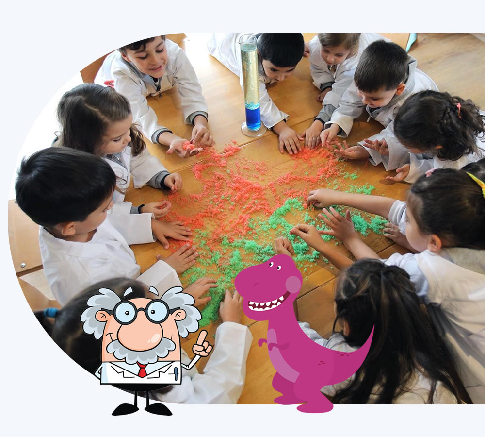 Stem Eğitim